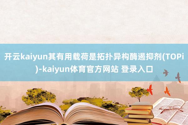 开云kaiyun其有用载荷是拓扑异构酶遏抑剂(TOPi)-kaiyun体育官方网站 登录入口