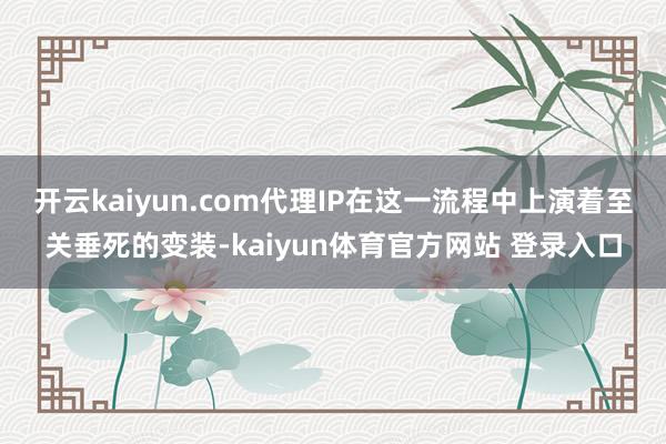 开云kaiyun.com代理IP在这一流程中上演着至关垂死的变装-kaiyun体育官方网站 登录入口