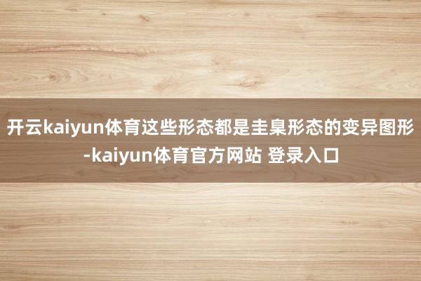 开云kaiyun体育这些形态都是圭臬形态的变异图形-kaiyun体育官方网站 登录入口