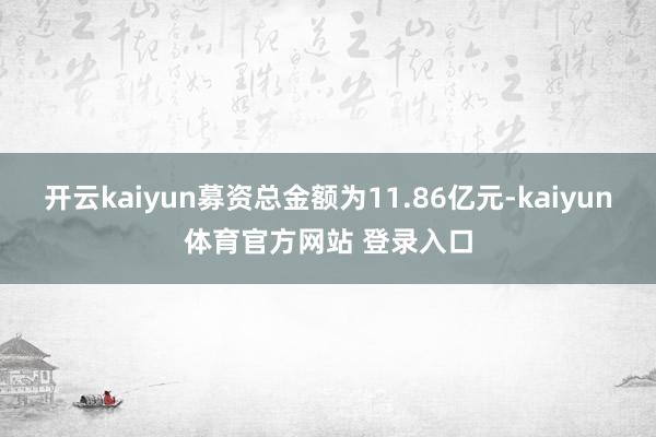开云kaiyun募资总金额为11.86亿元-kaiyun体育官方网站 登录入口