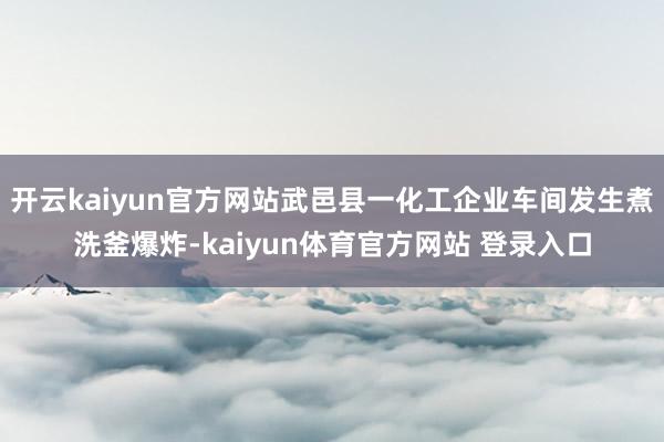 开云kaiyun官方网站武邑县一化工企业车间发生煮洗釜爆炸-kaiyun体育官方网站 登录入口